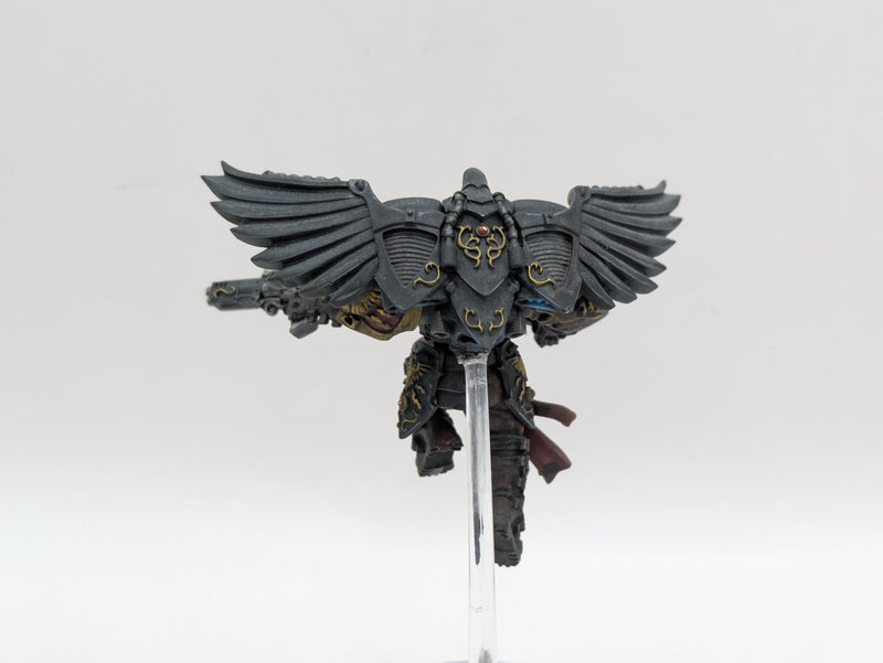 Warhammer 40k: Adeptus Custodes Venatari - Pro Painted (BA077)