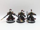 Warhammer 40k: Adeptus Custodes Allarus Terminators - Pro Painted (BA179)