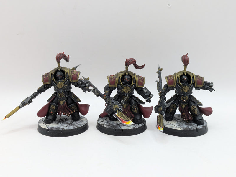 Warhammer 40k: Adeptus Custodes Allarus Terminators - Pro Painted (BA179)