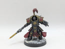 Warhammer 40k: Adeptus Custodes Allarus Terminators - Pro Painted (BA179)