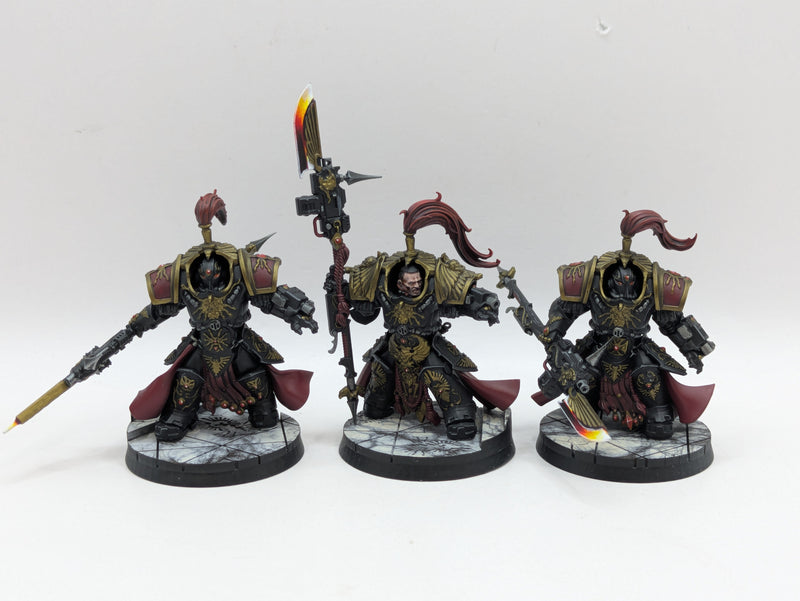 Warhammer 40k: Adeptus Custodes Allarus Terminators - Pro Painted (BA003)