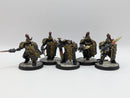 Warhammer 40k: Adeptus Custodes Bundle - Pro Painted