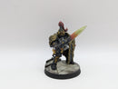 Warhammer 40k: Adeptus Custodes Custodian Guard - Pro Painted (AI230)