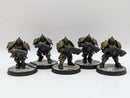 Warhammer 40k: Adeptus Custodes Bundle - Pro Painted