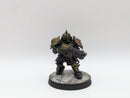 Warhammer 40k: Adeptus Custodes Saggitarum - Pro Painted (AW185)