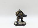 Warhammer 40k: Adeptus Custodes Saggitarum - Pro Painted (AW185)
