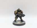 Warhammer 40k: Adeptus Custodes Saggitarum - Pro Painted (AW185)