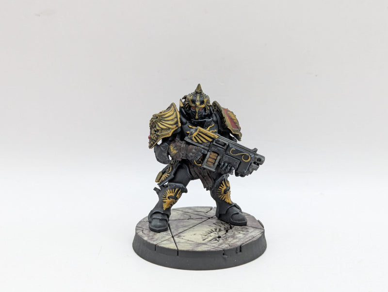 Warhammer 40k: Adeptus Custodes Saggitarum - Pro Painted (AW185)