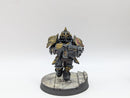 Warhammer 40k: Adeptus Custodes Saggitarum - Pro Painted (BC142)