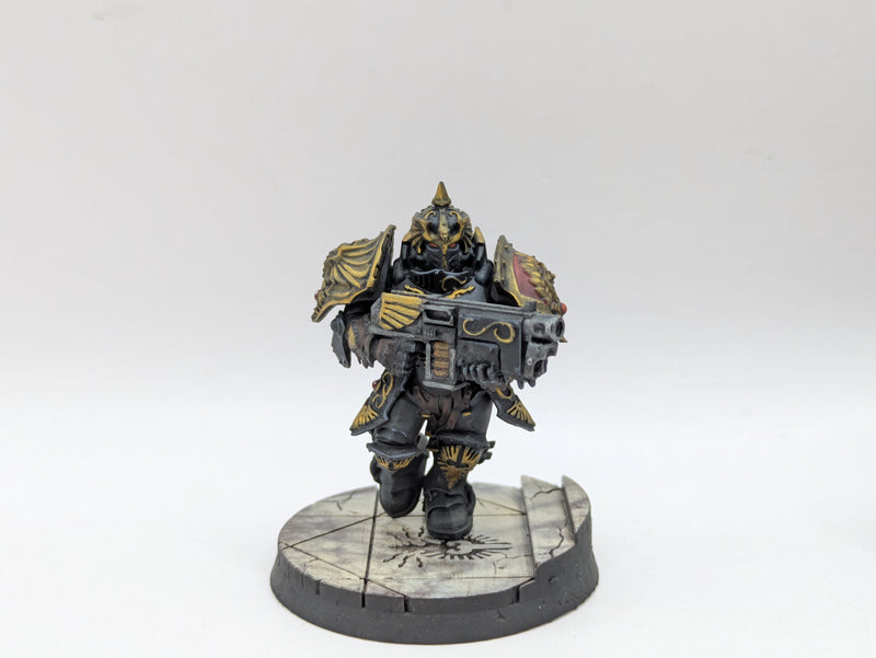 Warhammer 40k: Adeptus Custodes Saggitarum - Pro Painted (BC142)