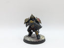 Warhammer 40k: Adeptus Custodes Saggitarum - Pro Painted (BC142)