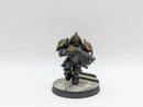 Warhammer 40k: Adeptus Custodes Saggitarum - Pro Painted (BC142)