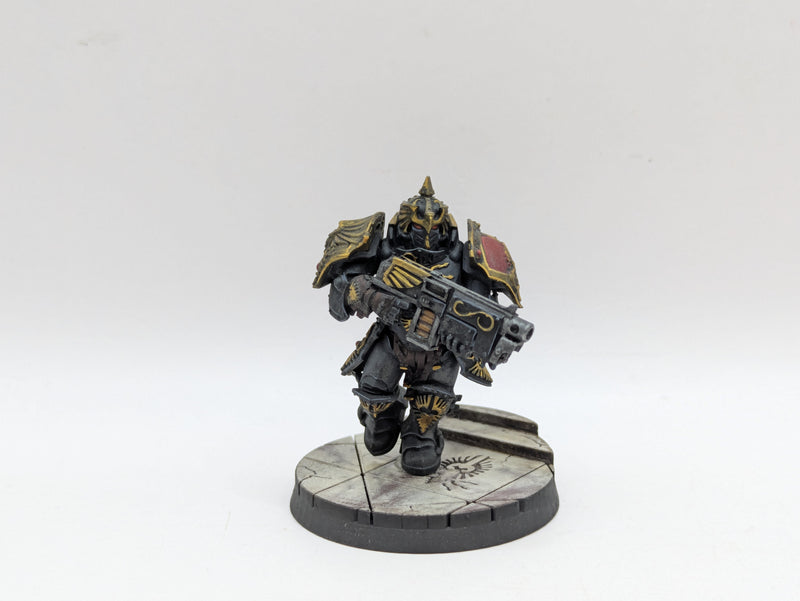 Warhammer 40k: Adeptus Custodes Saggitarum - Pro Painted (BC142)