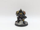 Warhammer 40k: Adeptus Custodes Saggitarum - Pro Painted (BC142)