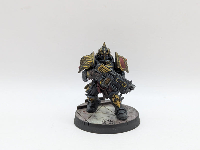 Warhammer 40k: Adeptus Custodes Saggitarum - Pro Painted (BC142)