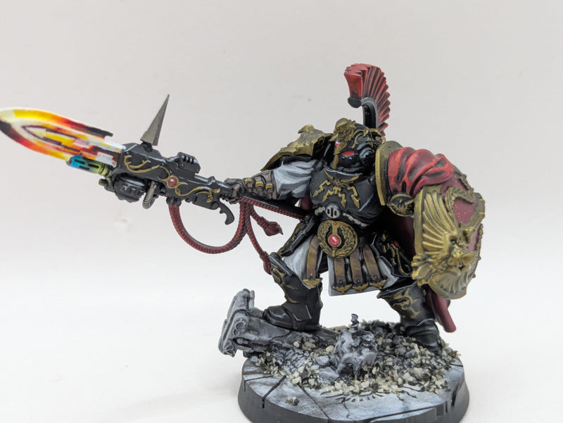 Warhammer 40k: Adeptus Custodes Shield Captain - Pro Painted (AO003)