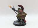 Warhammer 40k: Adeptus Custodes Shield Captain - Pro Painted (AO003)