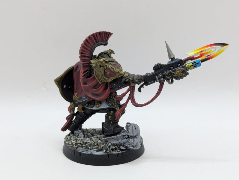 Warhammer 40k: Adeptus Custodes Shield Captain - Pro Painted (AO003)