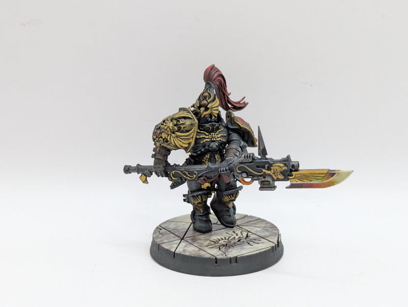 Warhammer 40k: Adeptus Custodes Custodian Guard - Pro Painted (AH078)
