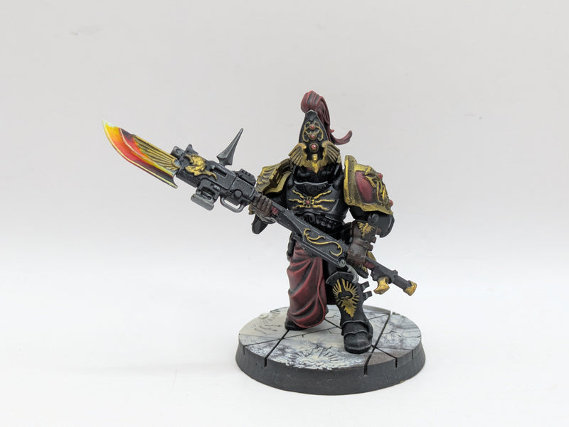 Warhammer 40k: Adeptus Custodes Wardens - Pro Painted (AI189)