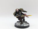 Warhammer 40k: Adeptus Custodes Blade Champion - Pro Painted (AW013)