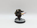 Warhammer 40k: Adeptus Custodes Bundle - Pro Painted