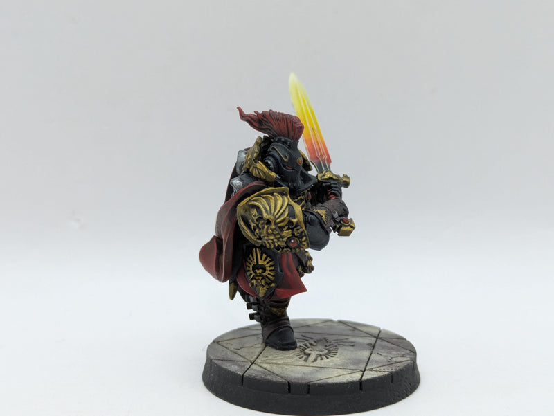 Warhammer 40k: Adeptus Custodes Blade Champion - Pro Painted (BA030)