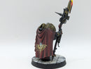 Warhammer 40k: Adeptus Custodes Shield Captain - Pro Painted (AK009)