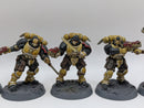 Warhammer 40k: Space Marine Reivers - Well Painted (AT125)