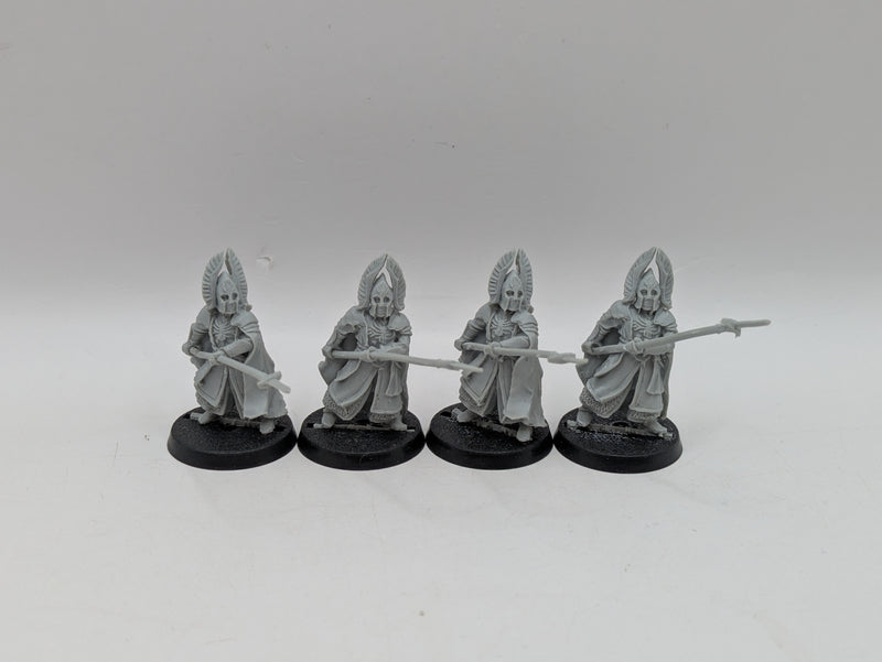 Warhammer Lord of the Rings: Gondor Fountain Court Guard (AE015)