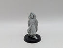 Warhammer Lord of the Rings: Gondor Aragorn (The Black Gate) (AL049)