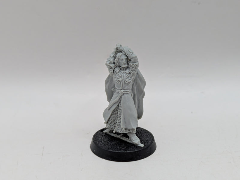 Warhammer Lord of the Rings: Gondor Aragorn (The Black Gate) (AL049)