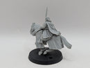 Warhammer Lord of the Rings: Gondor Aragorn (The Black Gate) (AL049)