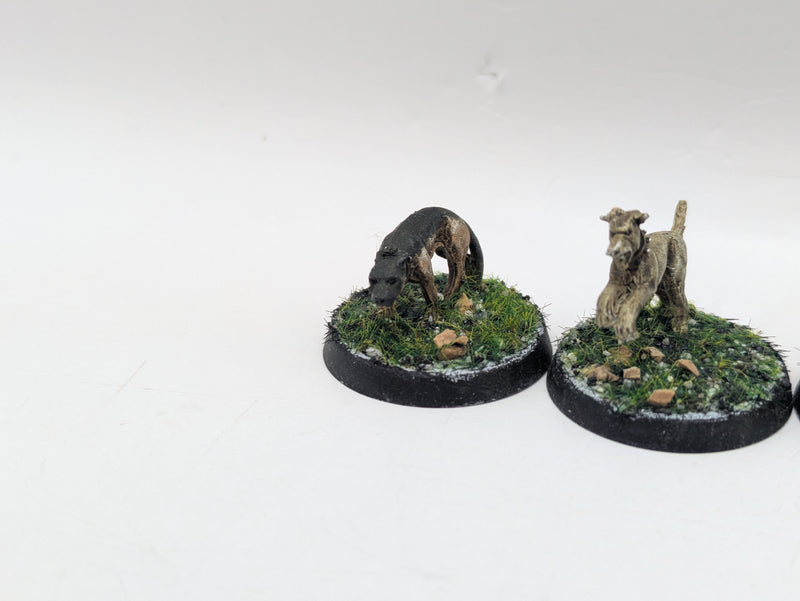 Warhammer Lord of the Rings: The Shire Farmer Maggot & Hounds (AT226)