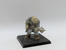 Warhammer The Old World: RDD12 1985 Golfag's Regiment of Mercenary Ogres RR8 (AF118)