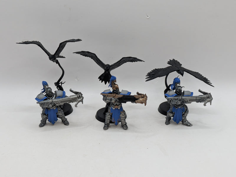 Warhammer Age of Sigmar: Stormcast Eternals Vanguard-Raptors (AI163)