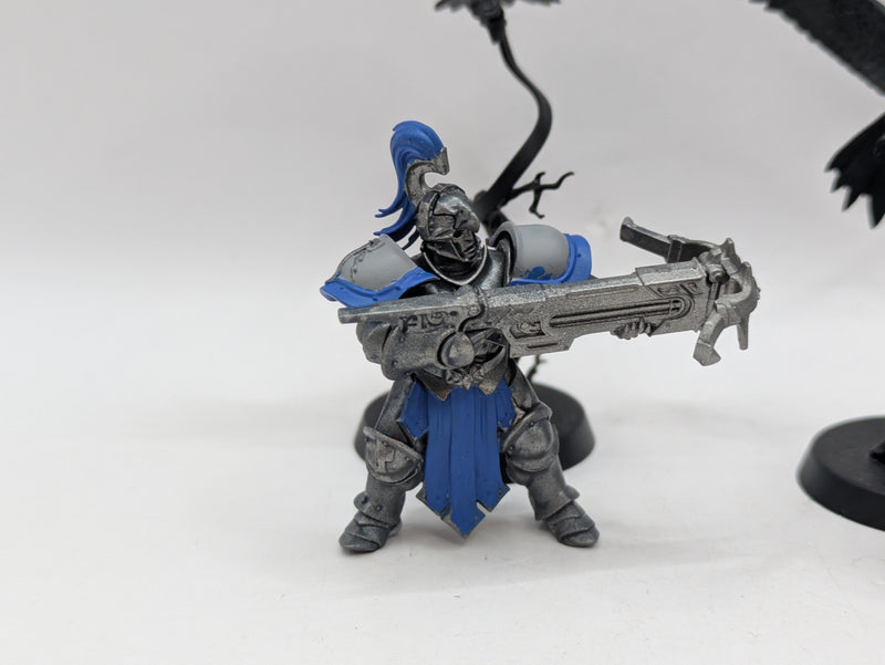 Warhammer Age of Sigmar: Stormcast Eternals Vanguard-Raptors (AI163)