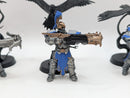 Warhammer Age of Sigmar: Stormcast Eternals Vanguard-Raptors (AI163)