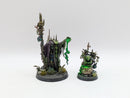 Warhammer Age of Sigmar: Orruk Warclans Swampcalla Shaman - Pro Painted (BC150)