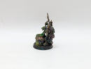 Warhammer Age of Sigmar: Orruk Warclans Swampcalla Shaman - Pro Painted (BC150)