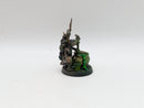 Warhammer Age of Sigmar: Orruk Warclans Swampcalla Shaman - Pro Painted (BC150)