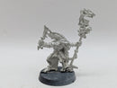 Warhammer The Old World/Fantasy: Lizardmen Skink Priest (BH136)