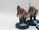 Warhammer Age of Sigmar: Ogor Mawtribes Gluttons (AI121)