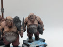 Warhammer Age of Sigmar: Ogor Mawtribes Gluttons (AI121)