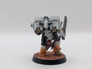 Warhammer Horus Heresy Space Marines Night Lords Apothecary with Jump Pack- Well Painted AJ127