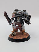 Warhammer Horus Heresy Space Marines Night Lords Apothecary with Jump Pack- Well Painted AJ127
