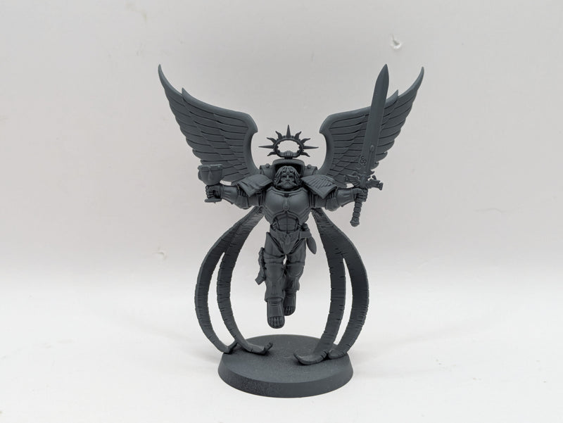 Warhammer 40k: Space Marines The Sanguinor (BI119)