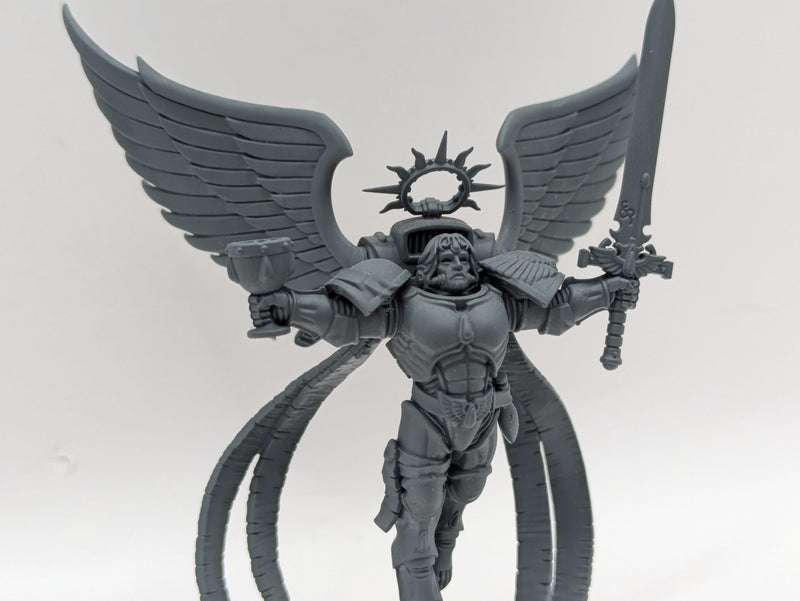 Warhammer 40k: Space Marines The Sanguinor (BI119)