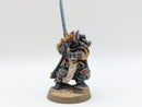 Warhammer Horus Heresy: Space Marines Dark Angels Corswain, Paladin of the Ninth Order - Well Painted (AW043)