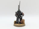 Warhammer Horus Heresy: Space Marines Dark Angels Converted Master of Signals - Well Painted (BI013)